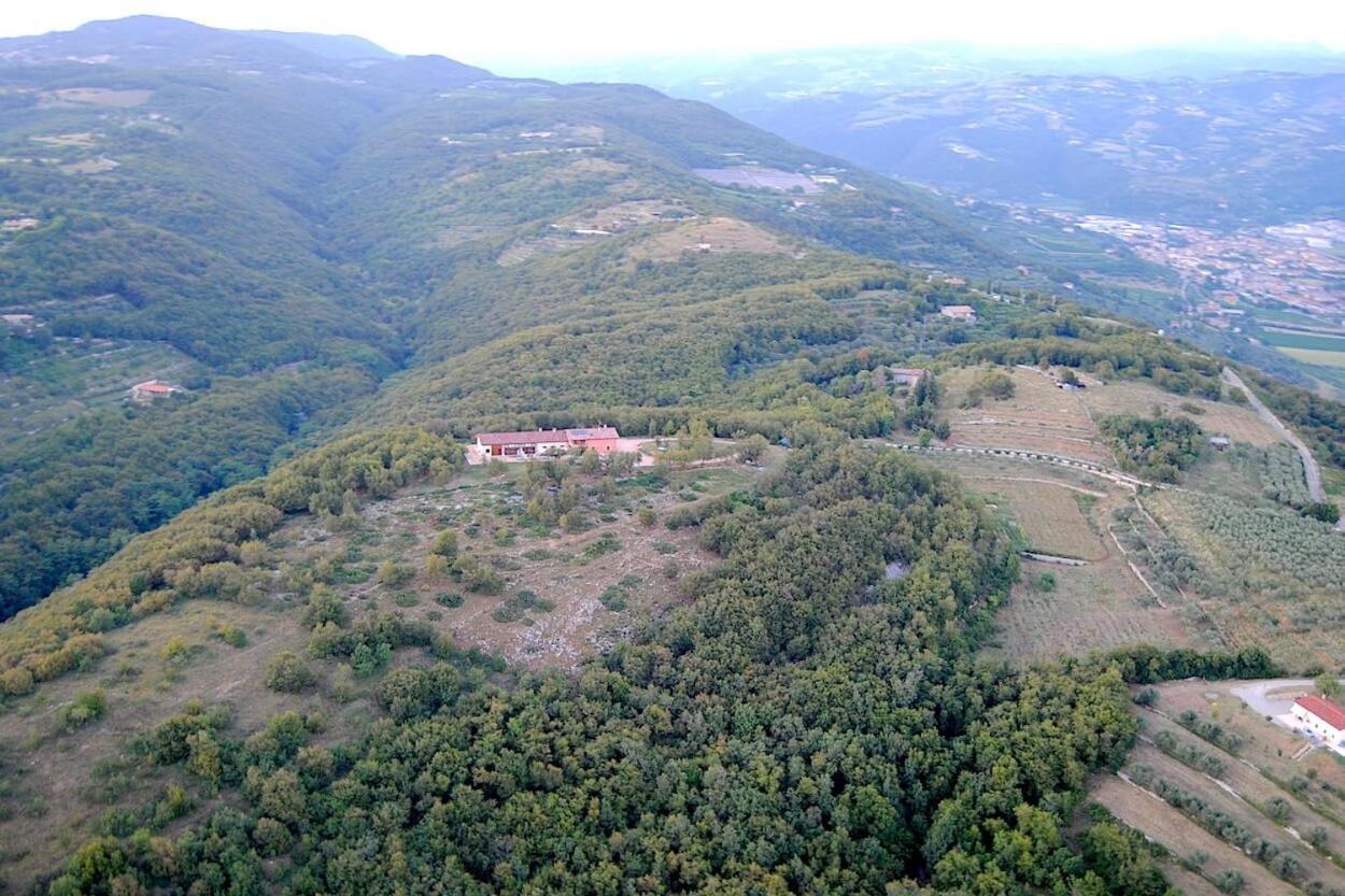 Agriturismo Il Porcellino Quinto di Valpantena Dış mekan fotoğraf